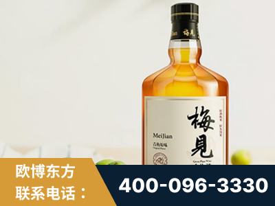 株洲-梅见青梅酒
